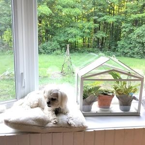 Meet your Posher, Dana